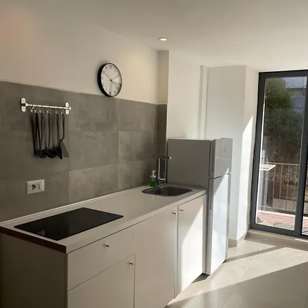Apartment Carmelitani Center *